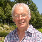 the-team-david the-team-david